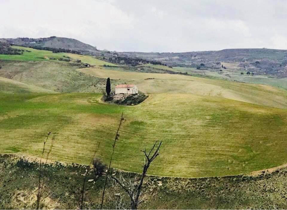 B&B Mantegna Irsina Mt Eksteriør billede